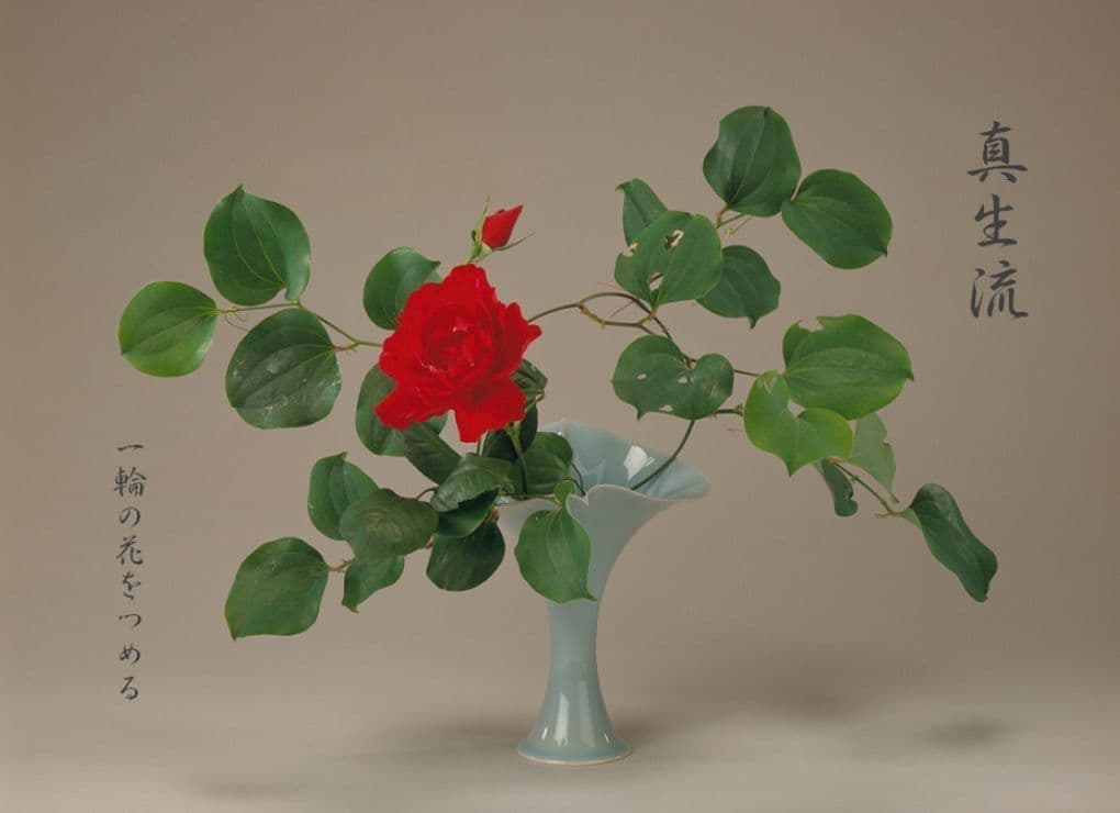 a0046.jpg