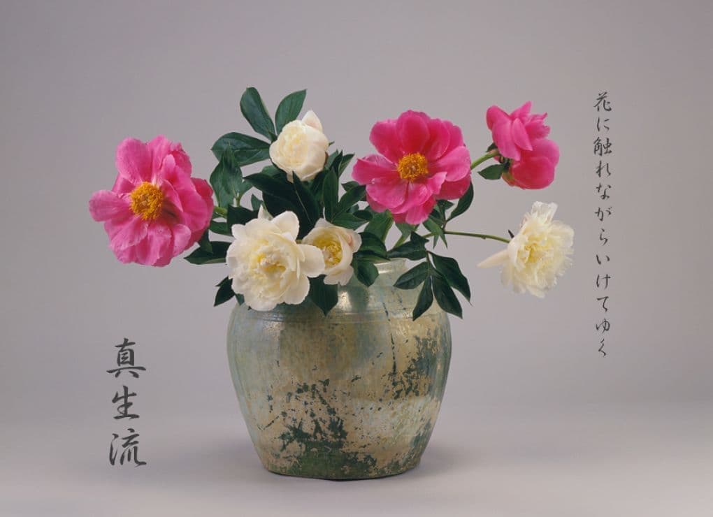 c0011.jpg